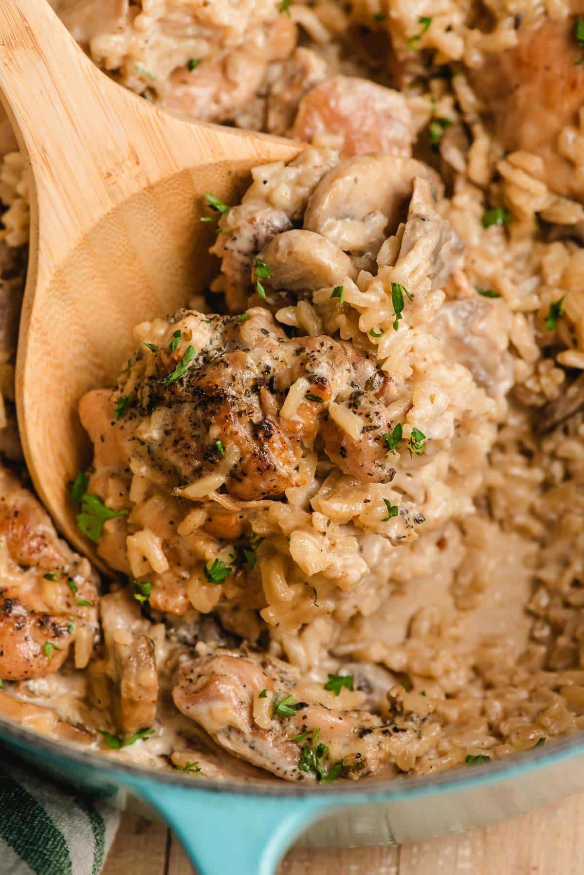 Creamy Mushroom Chicken Rice
