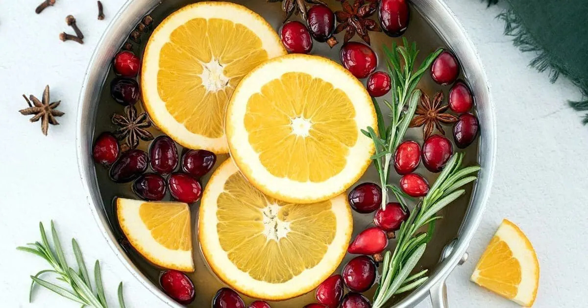 Holiday Slow-Cooker Potpourri with Apple and Orange