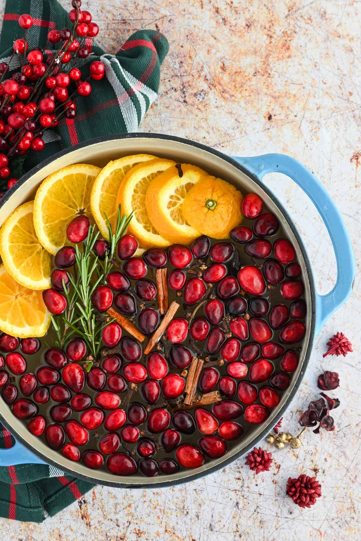 Classic Cranberry, Orange and Rosemary Simmer Pot