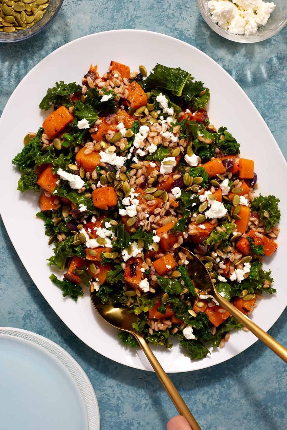 Butternut Squash, Farro, Kale and Goat Cheese Salad