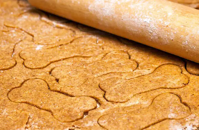 Zoetis Homemade Pumpkin Dog Treats