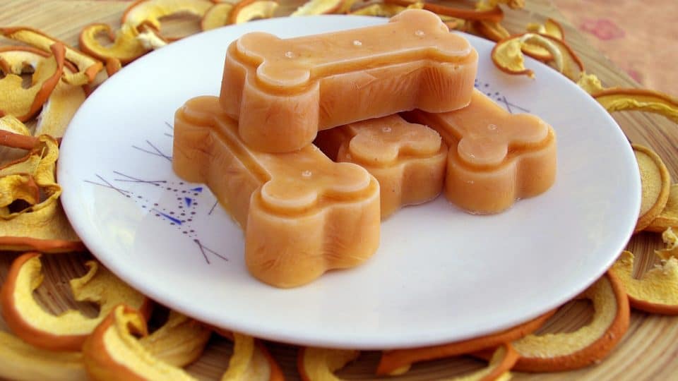 Rover Two-Ingredient Frozen Pumpkin Treats