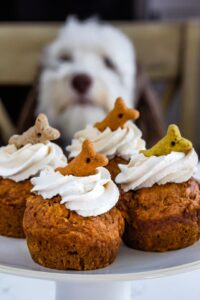 Crazy for Crust Pumpkin Pupcakes