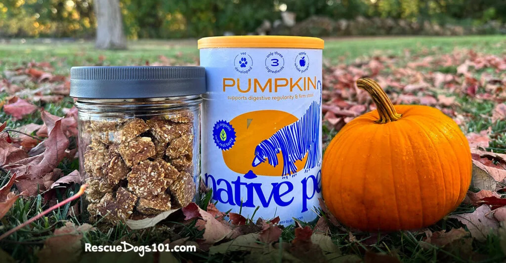 Three-Ingredient Pumpkin Peanut Butter Treats from Rescue Dogs 101