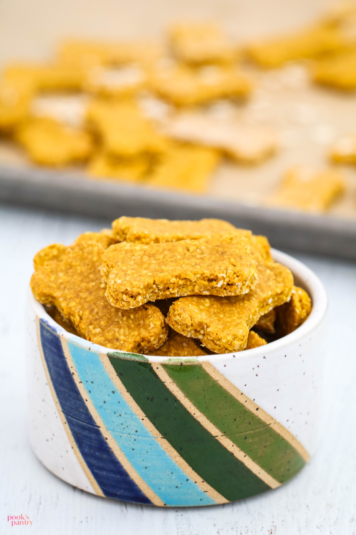 Pook’s Pantry Oatmeal Pumpkin Dog Treats