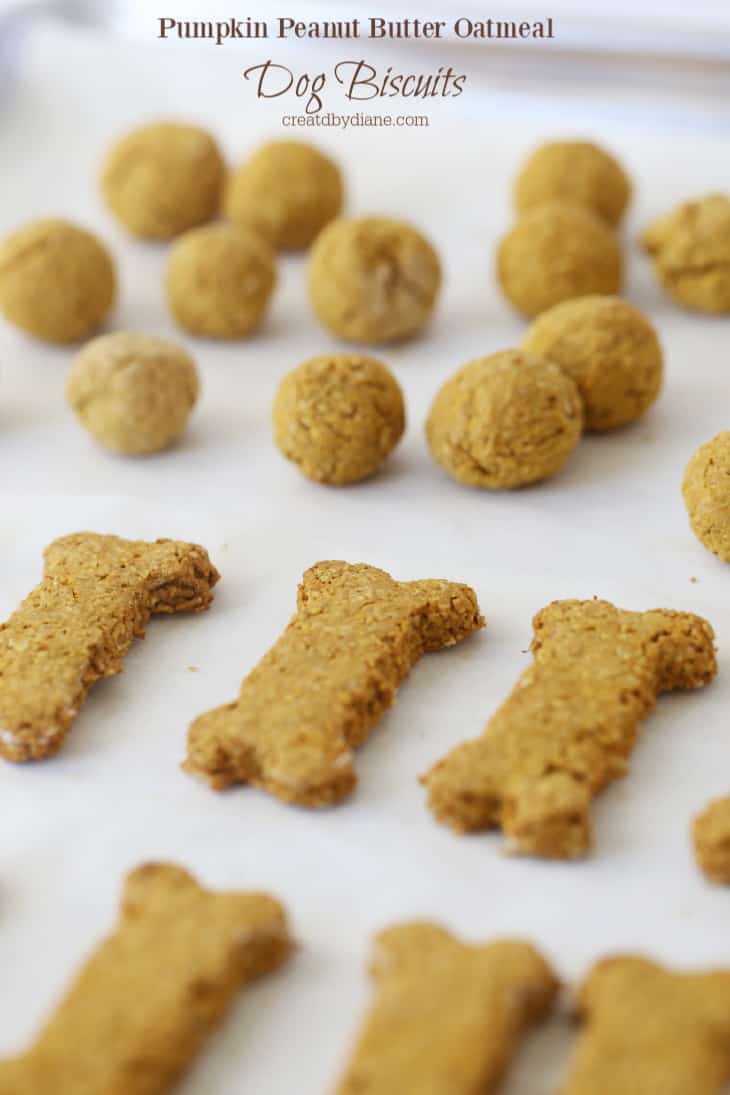 Pumpkin Peanut Butter Oatmeal Biscuits from Created By Diane