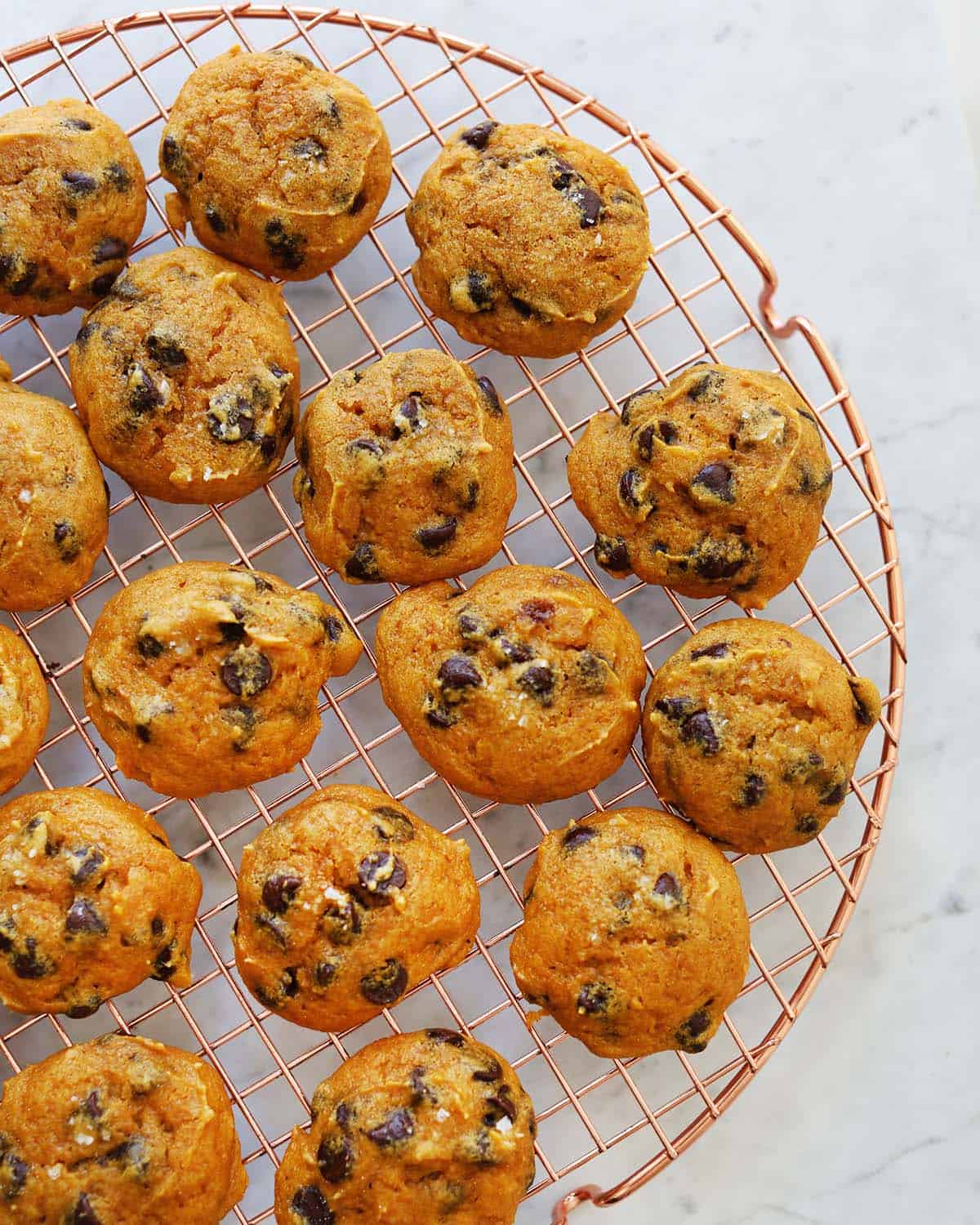 Simple Chocolate Chip Pumpkin Cookies