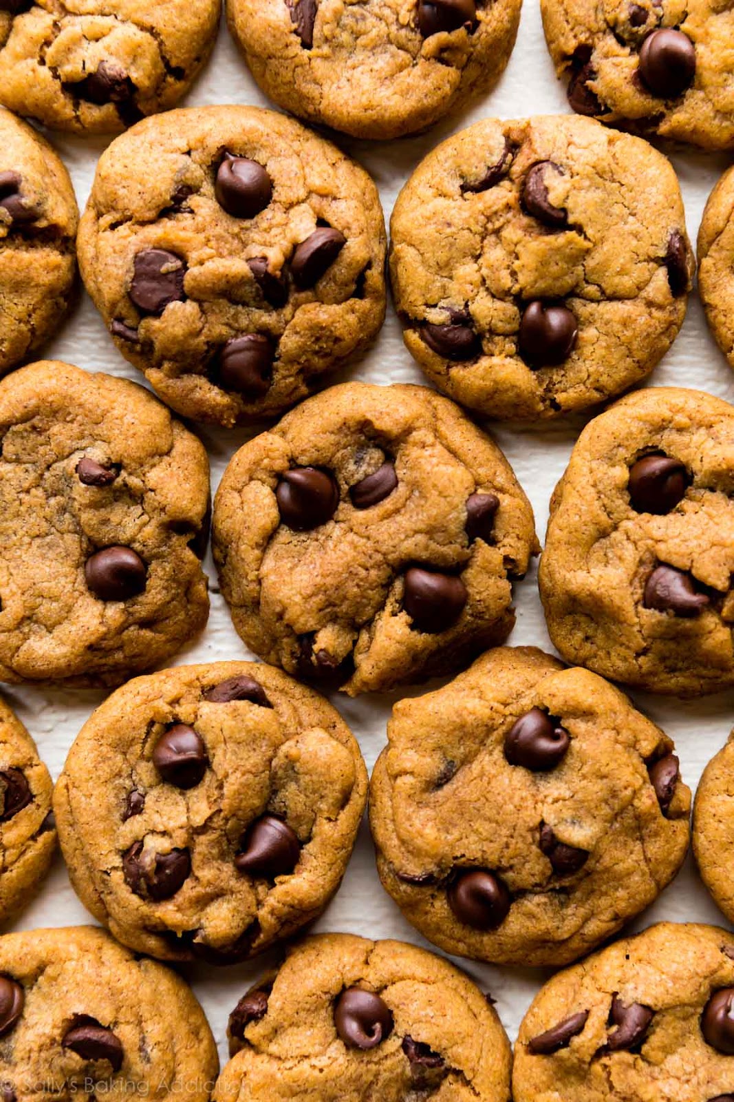 Chewy Pumpkin Chocolate Chip Cookies