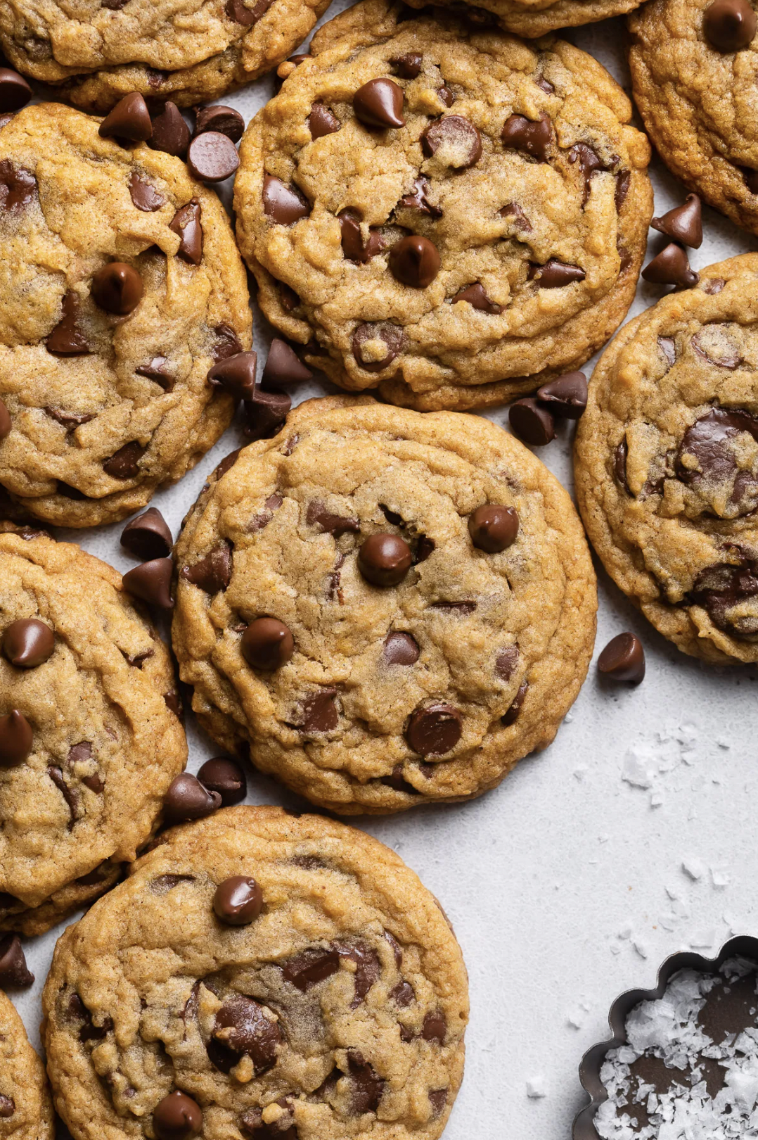 Chewy Pumpkin Chocolate Chip Cookies